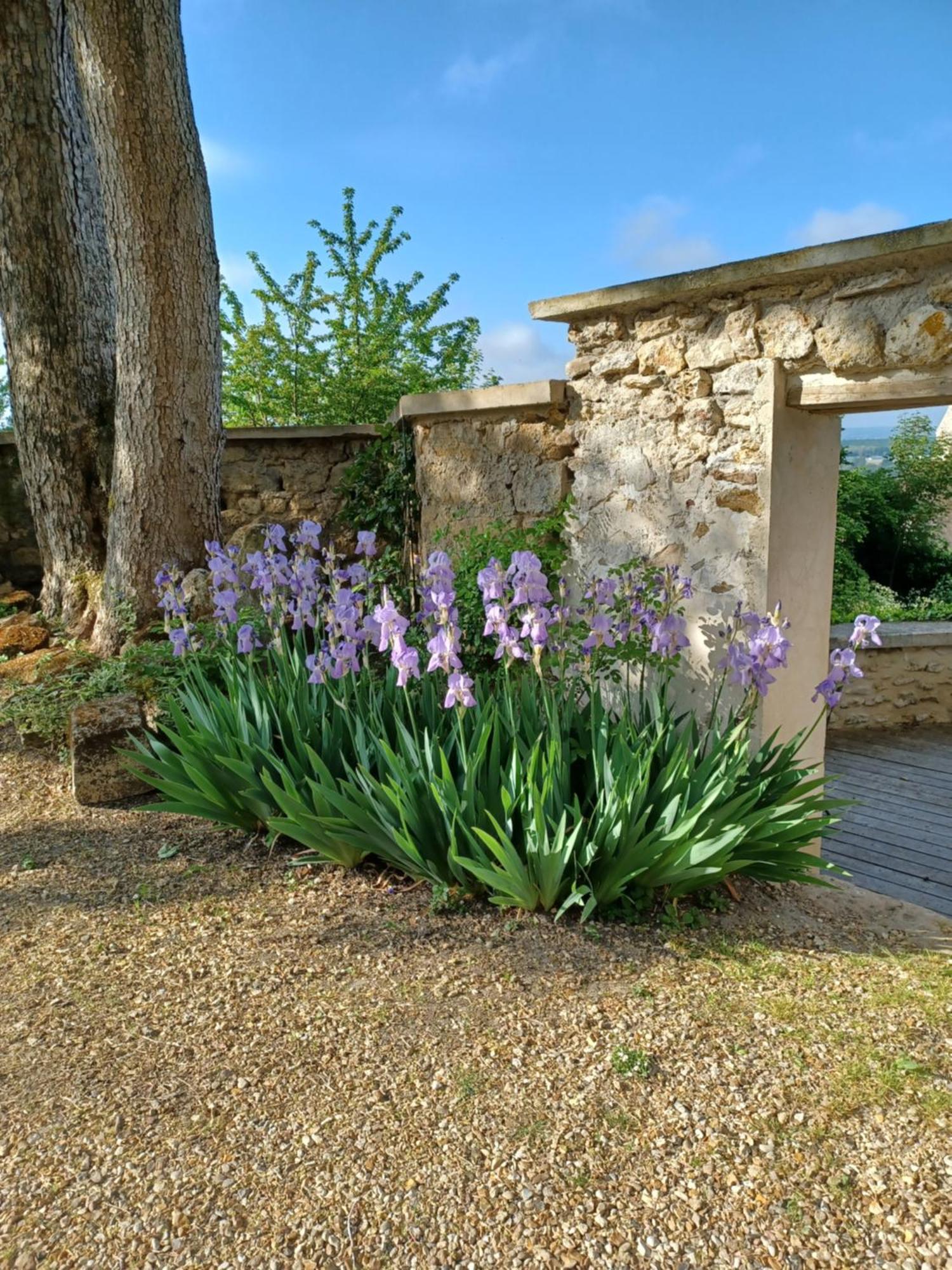 Le Verger Vaux-Sur-Seine Dış mekan fotoğraf